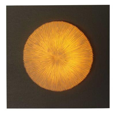 Ribbed Coral Design in MDF Wood Wall Art Led Lights